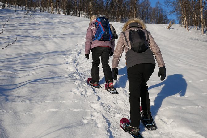 Snowshoeing With A View - Pace, group size, and who this trip fits best