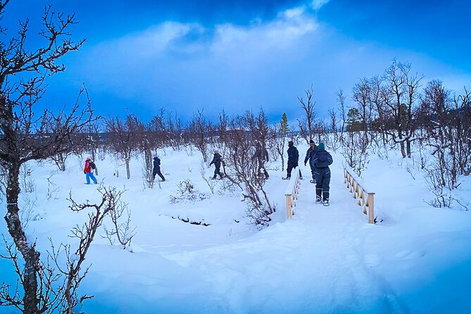Snowshoeing with Aurora Crystal-Lavvo Overnight Stay from Tromsø - Breakfast and heading back to Tromsø