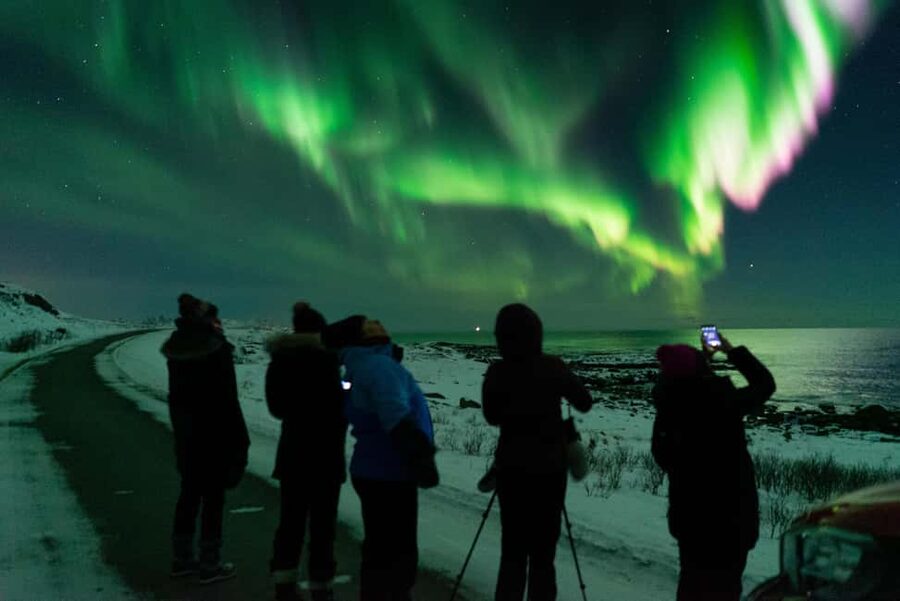 Sortland: Small Group Northern Lights Chase by Car - Why a heated Northern Lights van chase beats freezing on your own