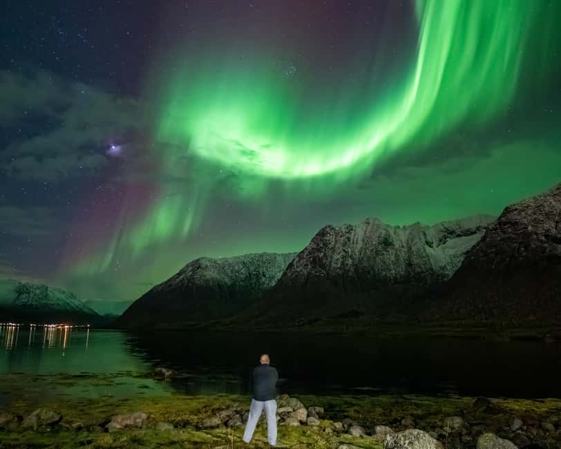Sortland: Small Group Northern Lights Chase by Car - What to pack for Sortland cold, plus comfort rules in the van