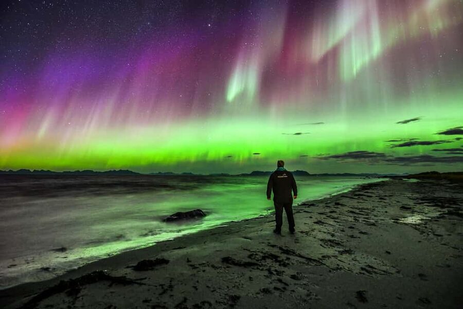Sortland: Small Group Northern Lights Chase by Car - Price and value: why $157 can be worth it for a moving aurora plan
