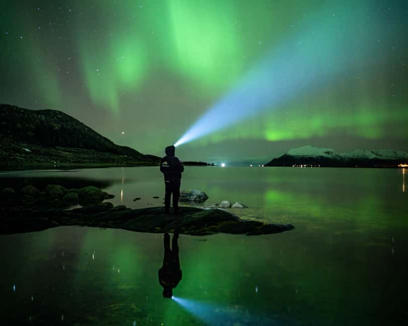 Sortland: Small Group Northern Lights Chase by Car - Should you book the Sortland Northern Lights car chase?