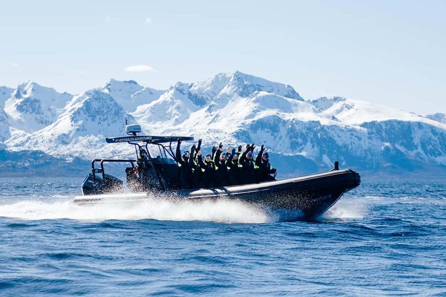 Sortland: Trollfjord RIB Boat Tour - Key points before you go