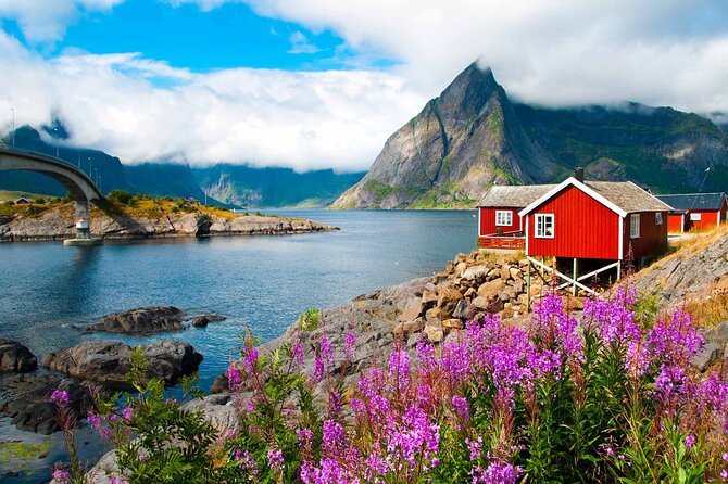 Special Summer Cruise Bus Tour of Lofoten - Hamnøy Bridge and Reinefjord: classic fishing villages and granite views