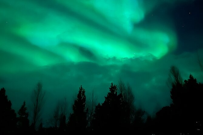 Starlit Adventure Tour in Tromsø – With Professional Photographer - Pickup in Tromsø: simple, clear, and actually doable
