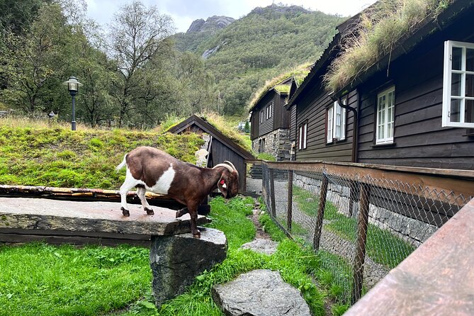 Stavanger Day Trip: Nature, Culture & Food - Getting your timing right: the steep hike comes early