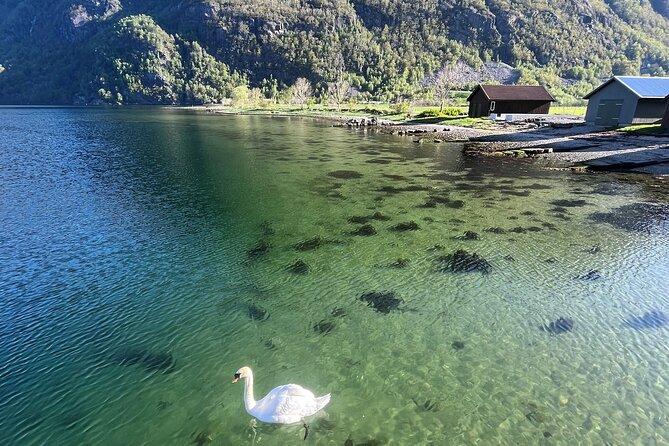 Stavanger Day Trip: Nature, Culture & Food - What to wear and bring for chains, ladders, and stone