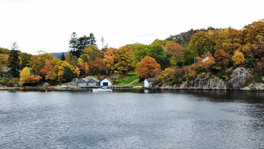 Stavanger: Electric Fjord Cruise to Lysefjord & Preikestolen - Wildlife and the Real Fjord Weather Game