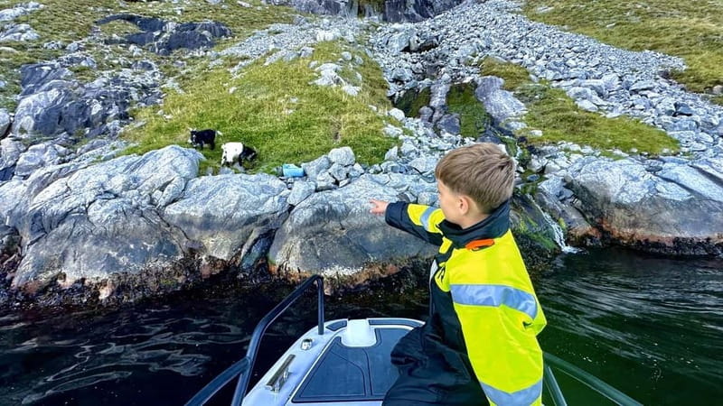 Stavanger: Guided Lysefjord Cruise to Pulpit Rock - Stavanger departure: finding the boat and staying warm enough