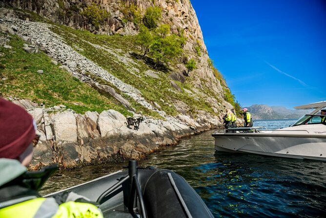 Stavanger: Guided Lysefjord Safari on Speedboat - Hengjanefossen Whiskey Falls: spray, height, and that misty cliff feeling
