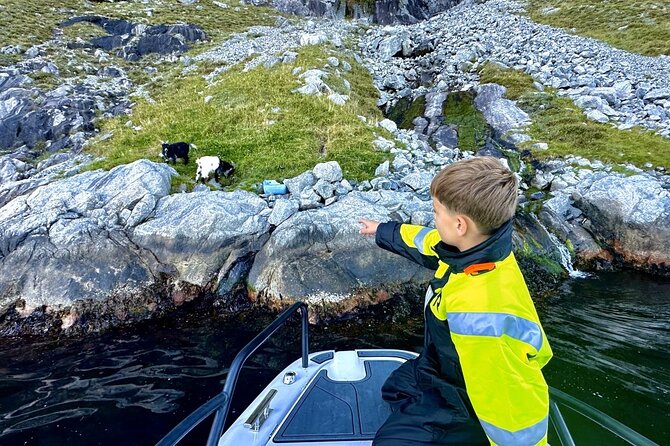 Stavanger: Guided Lysefjord Safari on Speedboat - Lysefjordsenteret break and Høllesli viewpoint, when the minibus upgrade is in play