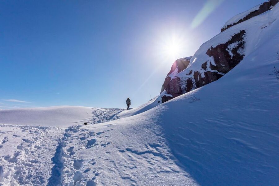 Stavanger: Preikestolen Winter Hike + Hot Lunch - Villa Rosehagen hot lunch: soup recovery with real local flavor
