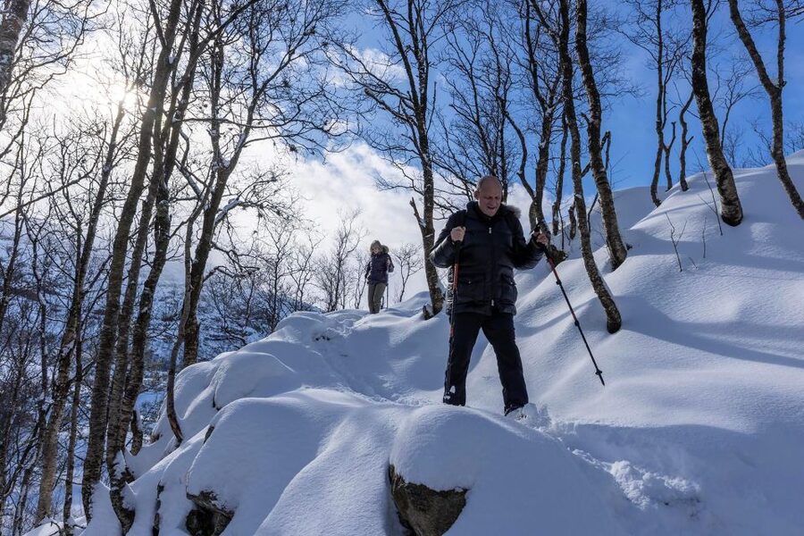 Stavanger: Preikestolen Winter Hike + Hot Lunch - Who should book this winter Preikestolen hike