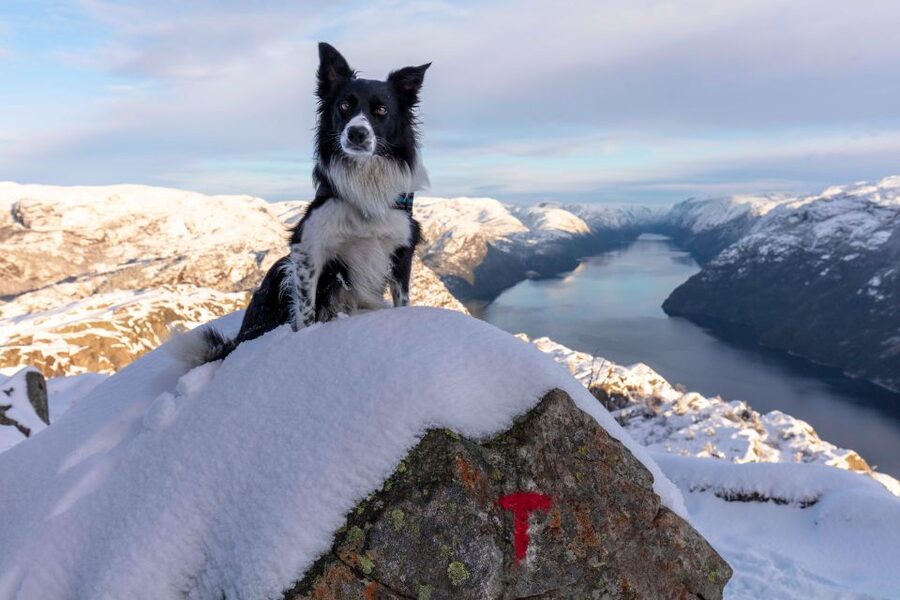 Stavanger: Preikestolen Winter Hike + Hot Lunch - Pickup in Stavanger and the trailhead setup