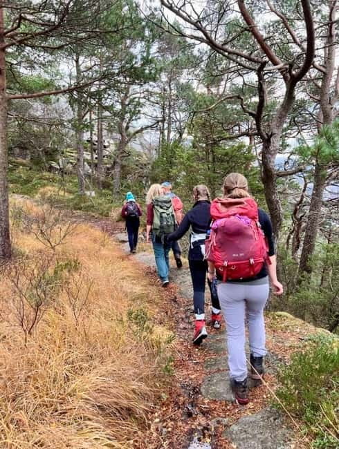 Stavanger/Sandnes: Preikestolen Guided Hidden Nature Hike - Forests, streams, and the small stuff that makes a hike feel worth it