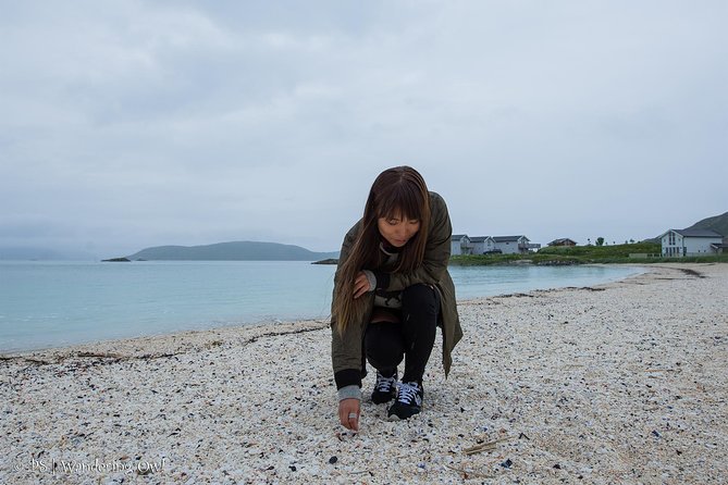 Summer Fjord Road Trip with Citizen Science with Wandering Owl - Picnic lunch on a beach: the meal stop that shapes the whole mood