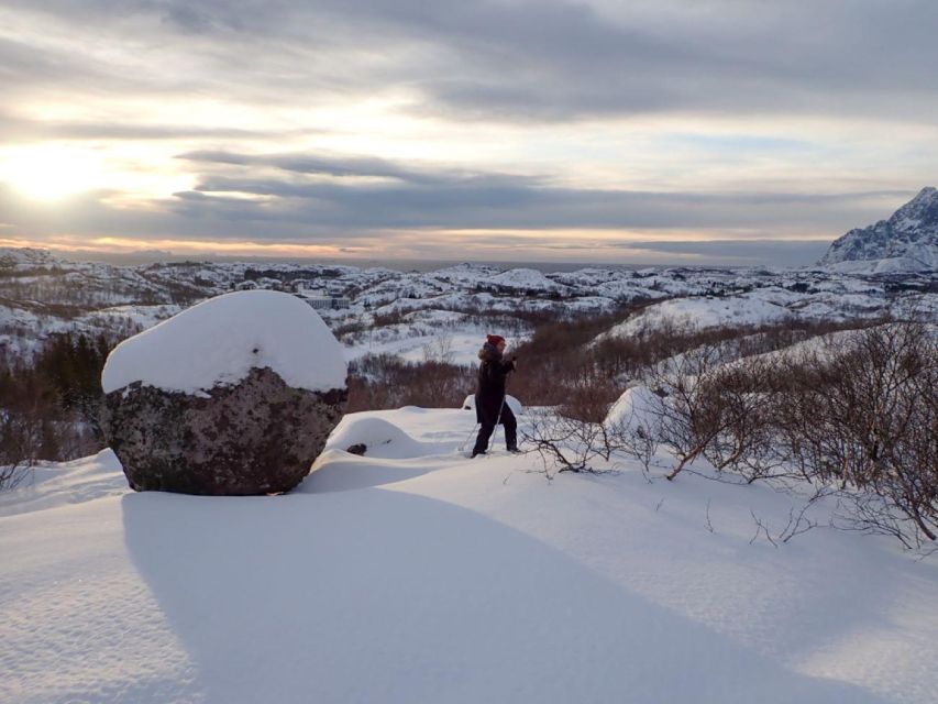 Svolvaer: Half-Day Guided Snowshoeing Tour - Why Vestfjorden snowshoeing beats a basic winter stroll