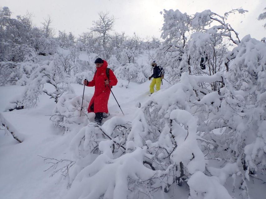 Svolvaer: Half-Day Guided Snowshoeing Tour - Your 4-hour rhythm: transport, fitting up, and backcountry time
