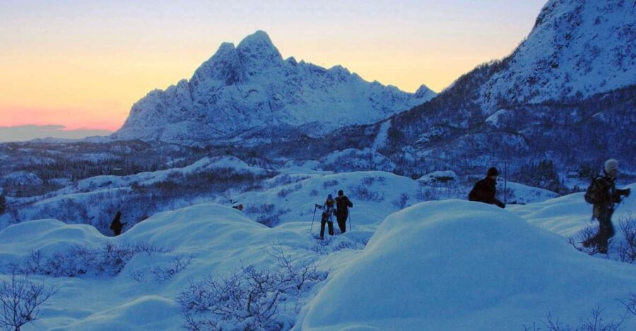 Svolvaer: Half-Day Guided Snowshoeing Tour - Price and value: what $161 buys in the real world