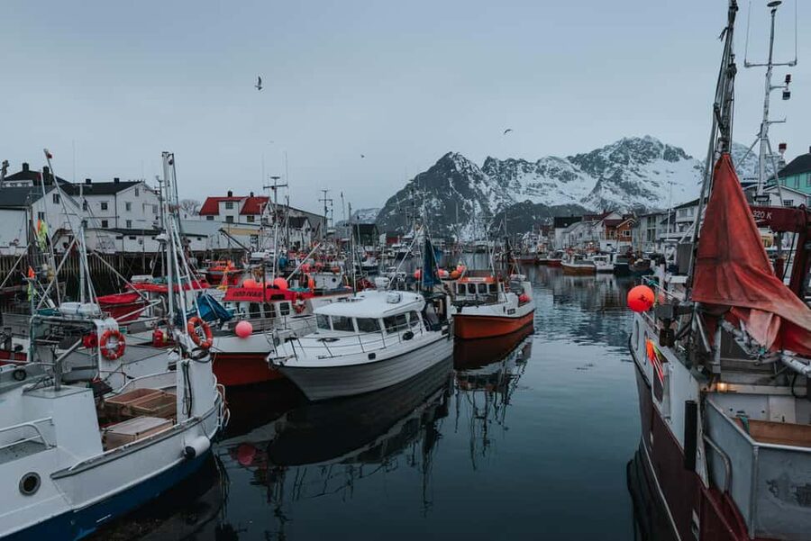 Svolvær: Lofoten Scenic Sightseeing Tour: Half day tour - Key things worth knowing before you go