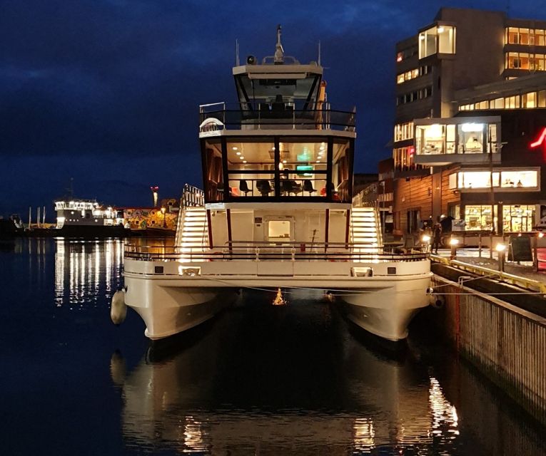 Svolvær: Northern Lights and Full Steam Cruise with Tasting - Key things I’d watch for on this cruise