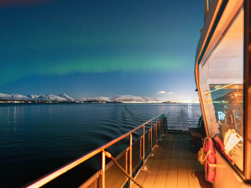 Svolvær: Northern Lights and Full Steam Cruise with Tasting - Where You Meet in Svolvær (Torget 22 by Paleo Arctic)