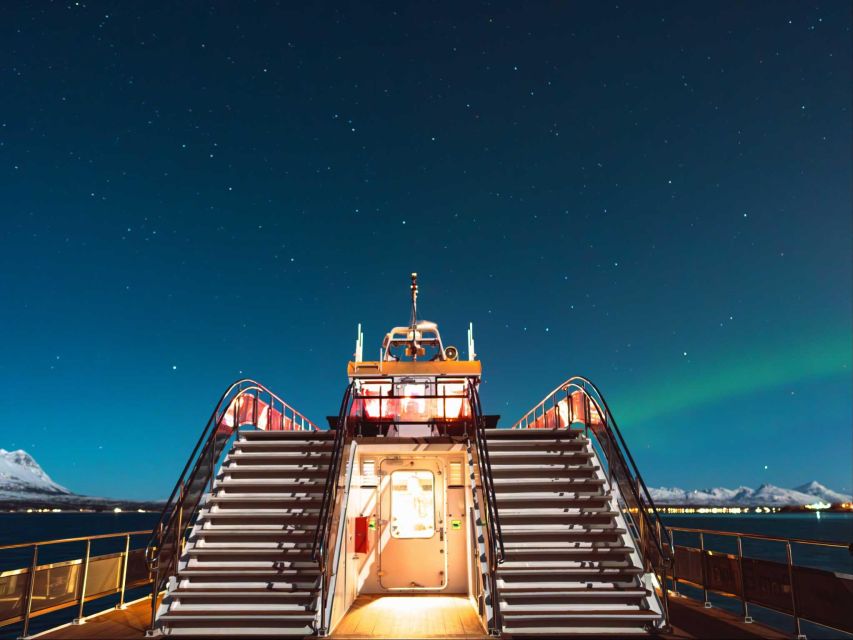 Svolvær: Northern Lights and Full Steam Cruise with Tasting - Should you book this Svolvær Northern Lights and Full Steam cruise?