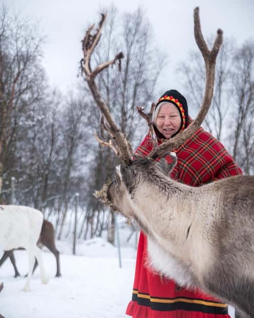 Svolvær: Sami Culture and Reindeer Experience - From Svolvær to the Sami siida, why this route matters