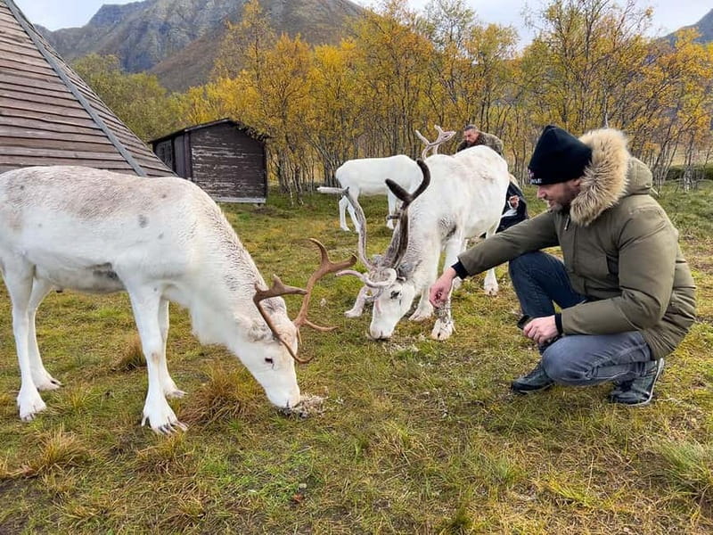 Svolvær: Sami Culture and Reindeer Experience - Arriving at the siida: welcome, rituals, and the warmth of the lavvu