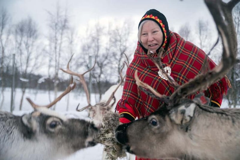 Svolvær: Sami Culture and Reindeer Experience - Small-group format and guide energy: why it feels human