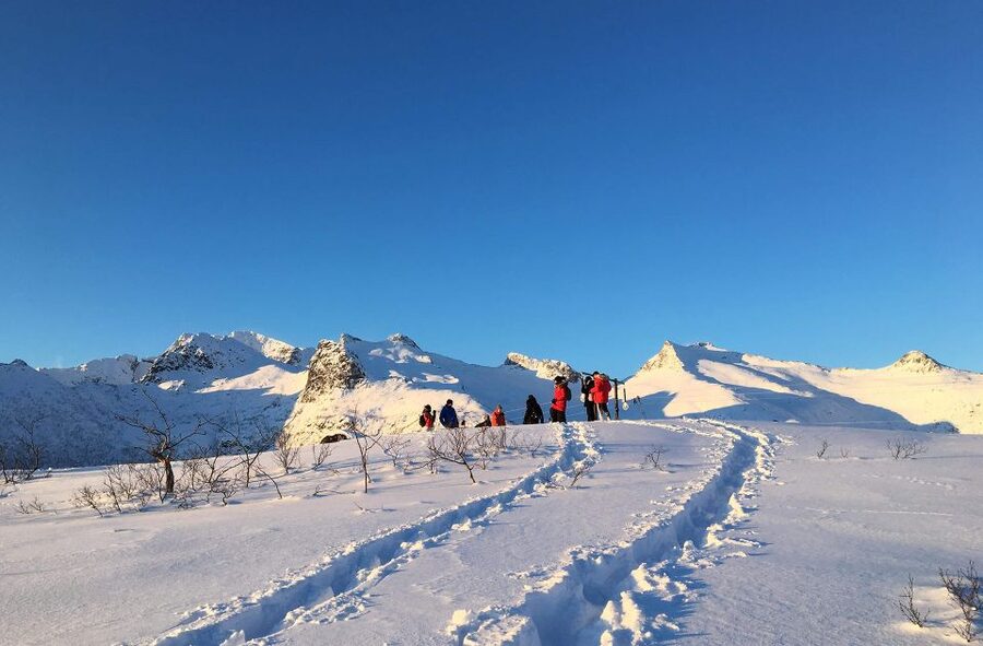 Svolvær: Snowshoe Nature Explorer - Key highlights you’ll actually feel