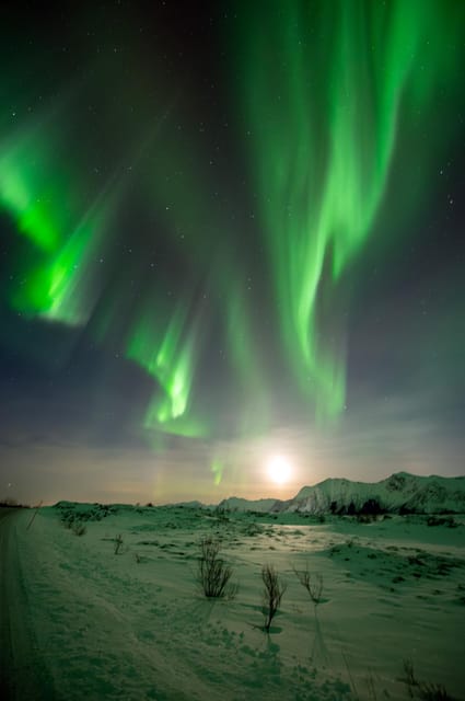 Svolvær: Ultimate Aurora Hunt - The Stops: Wide Views, Quick Repositioning, and Why It Matters