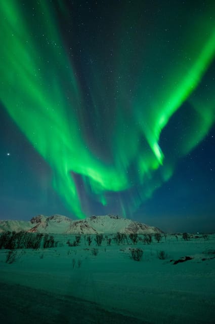 Svolvær: Ultimate Aurora Hunt - Night Photography Tips You Can Actually Apply on the Move