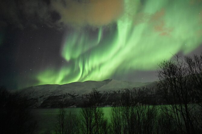 The Aurora Tour - small group, northern lights - Photography support: great when it clicks, so confirm what you need
