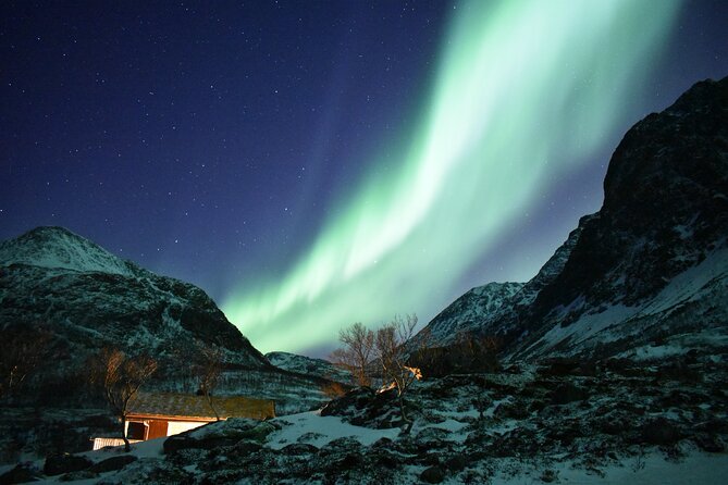 The Aurora Tour - small group, northern lights - Price and value around $233 per person