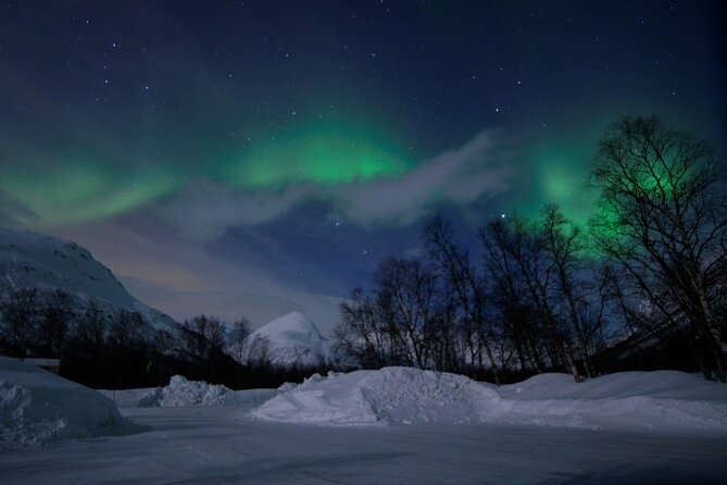 The Aurora Tour - VIP trip for northern lights, aurora borealis - Tromsø fjords at night: why the timing and setting matter