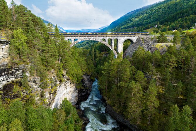 The Golden Train on Rauma Railway in Romsdalen - Key highlights you will actually feel during the ride