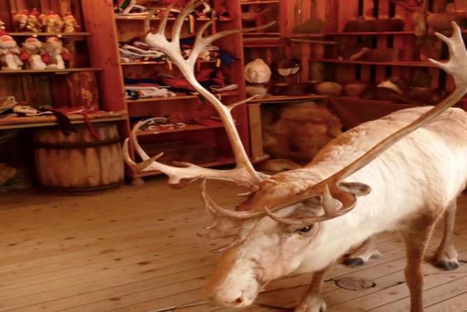 The North Cape, Reindeer and Sami Families Tour - The Fishing Village and Honningsvåg Stops: Small Norway Between Big Views