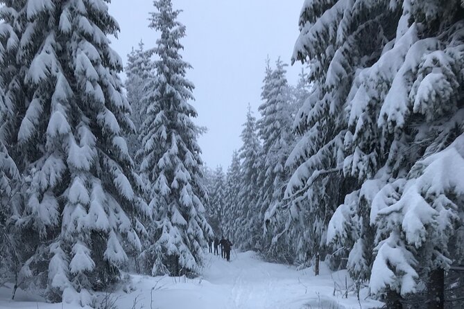 The Ultimate Norwegian Skiing Experience - Who this tour fits best, and who might want another option
