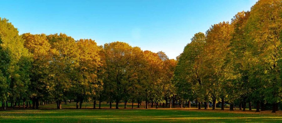 The Vigeland Park Walk with a Local in Oslo - Practical tips for an easy walk in Frogner Park