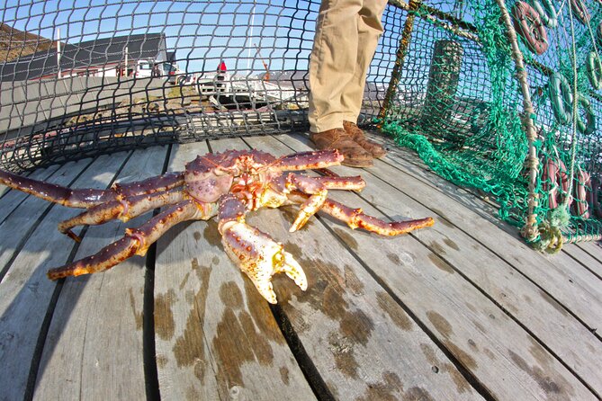 The VIP North Cape Tour - King crab and arctic tapas: the food part that doesn’t feel like a gimmick