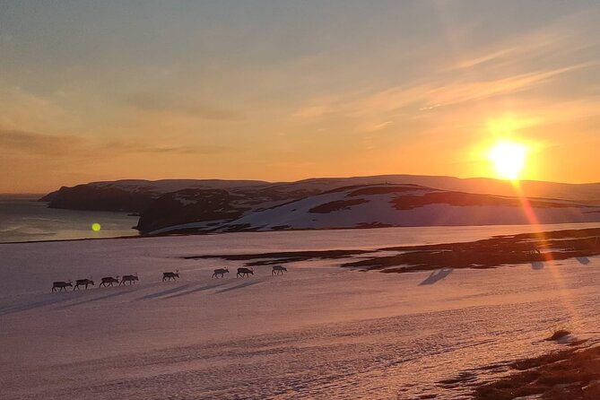The VIP North Cape Tour - The Nordvågen stop: fish village reality, not just a quick photo stop