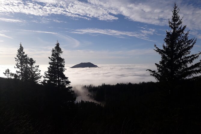 Three-summit hike in Bergen - What the guide adds: History and everyday Norway on the trail