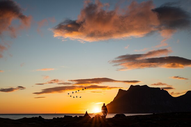Tour of the authentic fjords of Kvaløya - Meeting in Tromsø, starting at 10:00, and keeping the day easy