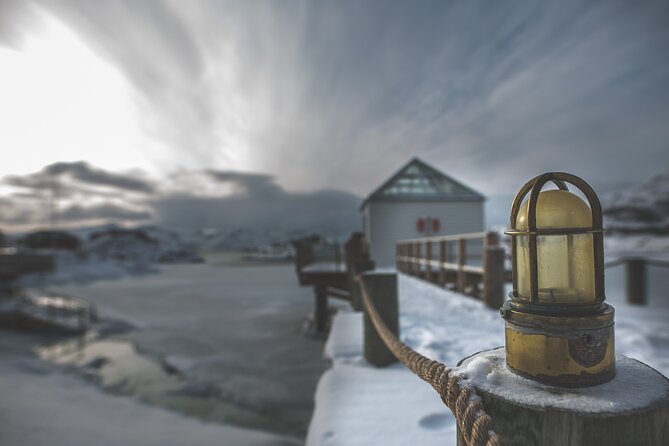 Tour of the authentic fjords of Kvaløya - How the small group changes the experience