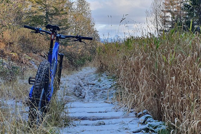 Trail challenge with electric mountainbike - Starting right at Radisson Blu on Bodø harbor