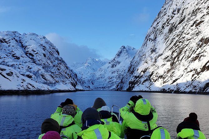 Trollfjord and Sea Eagle Safari Tour from Svolvaer - Key things I’d watch for before you go