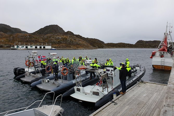 Trollfjord and Sea Eagle Safari Tour from Svolvaer - The sea eagle safari: close sightings, real behavior