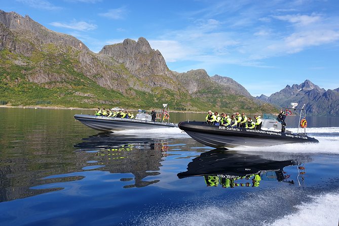 Trollfjord and Sea Eagle Safari Tour from Svolvaer - Price and value: what $139.81 buys you