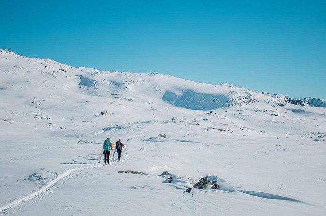 Trolltunga Winter Day Hike - Weather rules, safety pace, and who should book